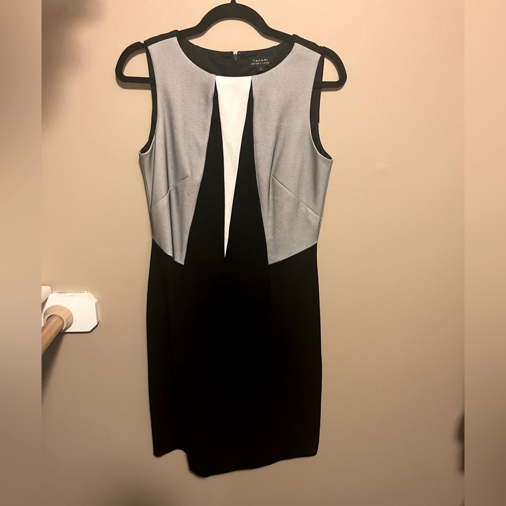 Tahara Size 6 Dress